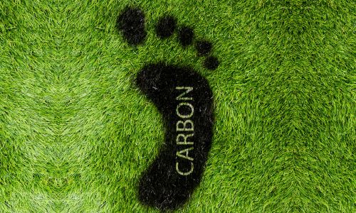 216491-1600x1067-Carbon-footprint