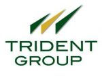 Tridentgroup-logo-plane-551x410